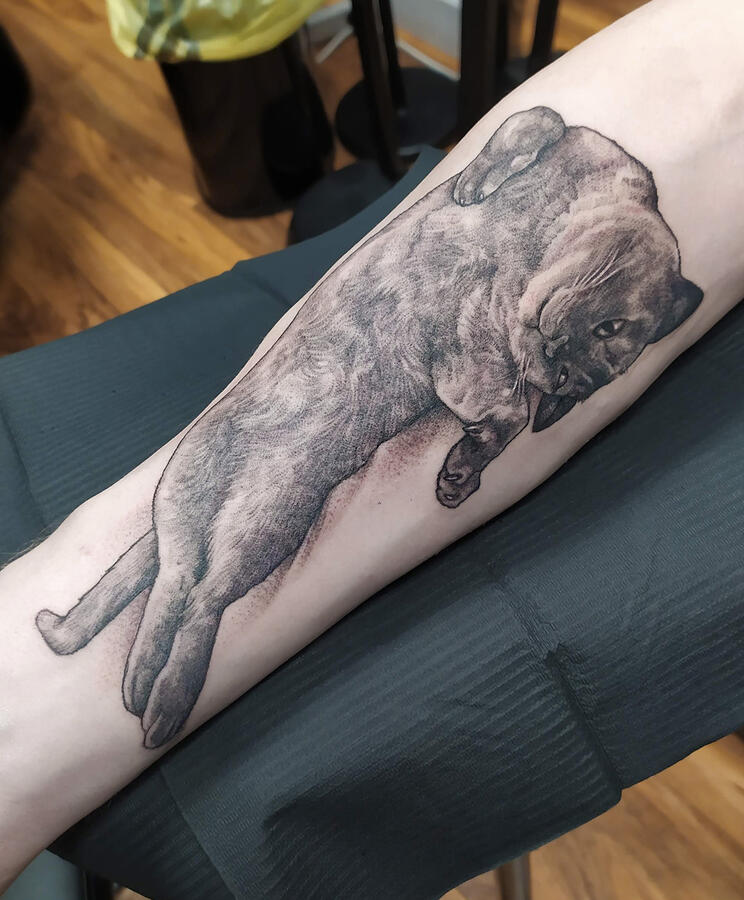 Happy Cat Memorial tattoo of a pet cat chilling on his back and enjoying life. Realistic whipshading technique. Tattoo by VampyCrafts in Cologne